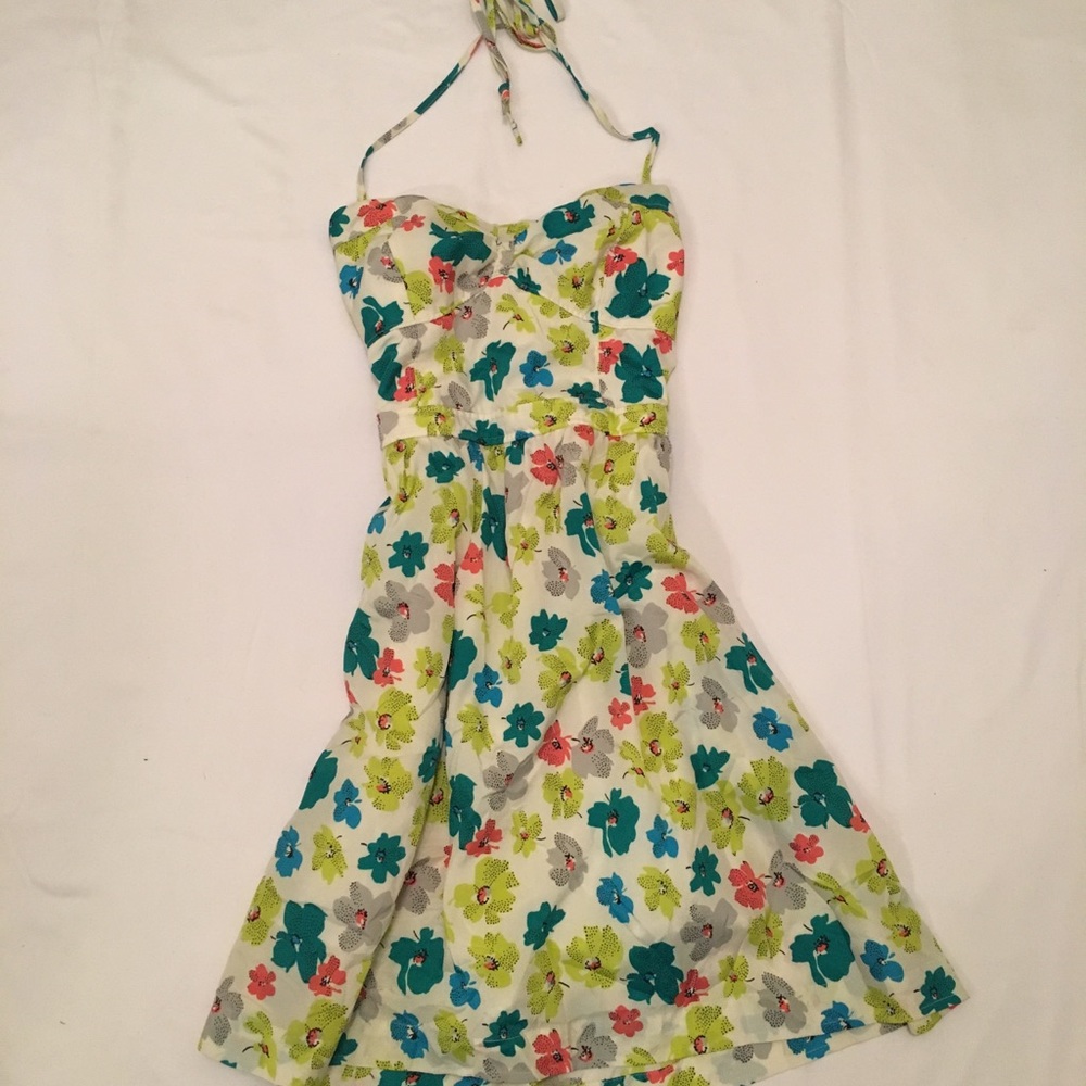 American Eagle Floral Sun Dress